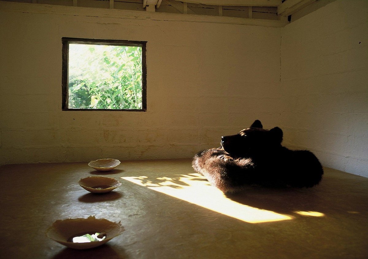 けはいをきくこと・・・’05キムンカムイの森にて（映像）