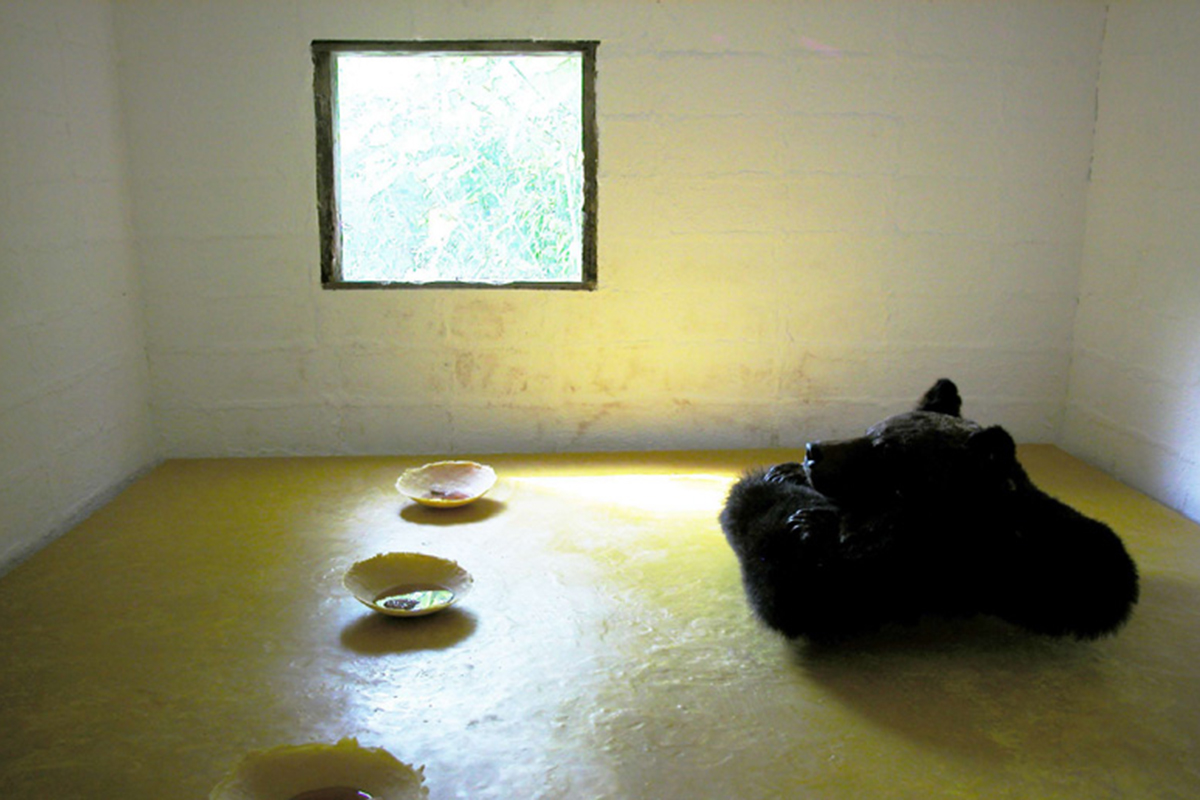 けはいをきくこと・・・'05・5・5