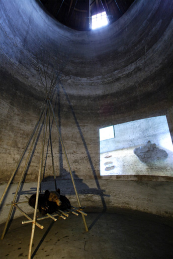 けはいをきくこと・・北方圏における森の思想 IV