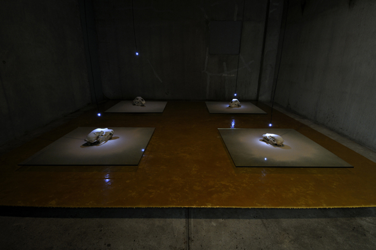 けはいをきくこと・・・北方圏における森の思想（南限のチャシ1）