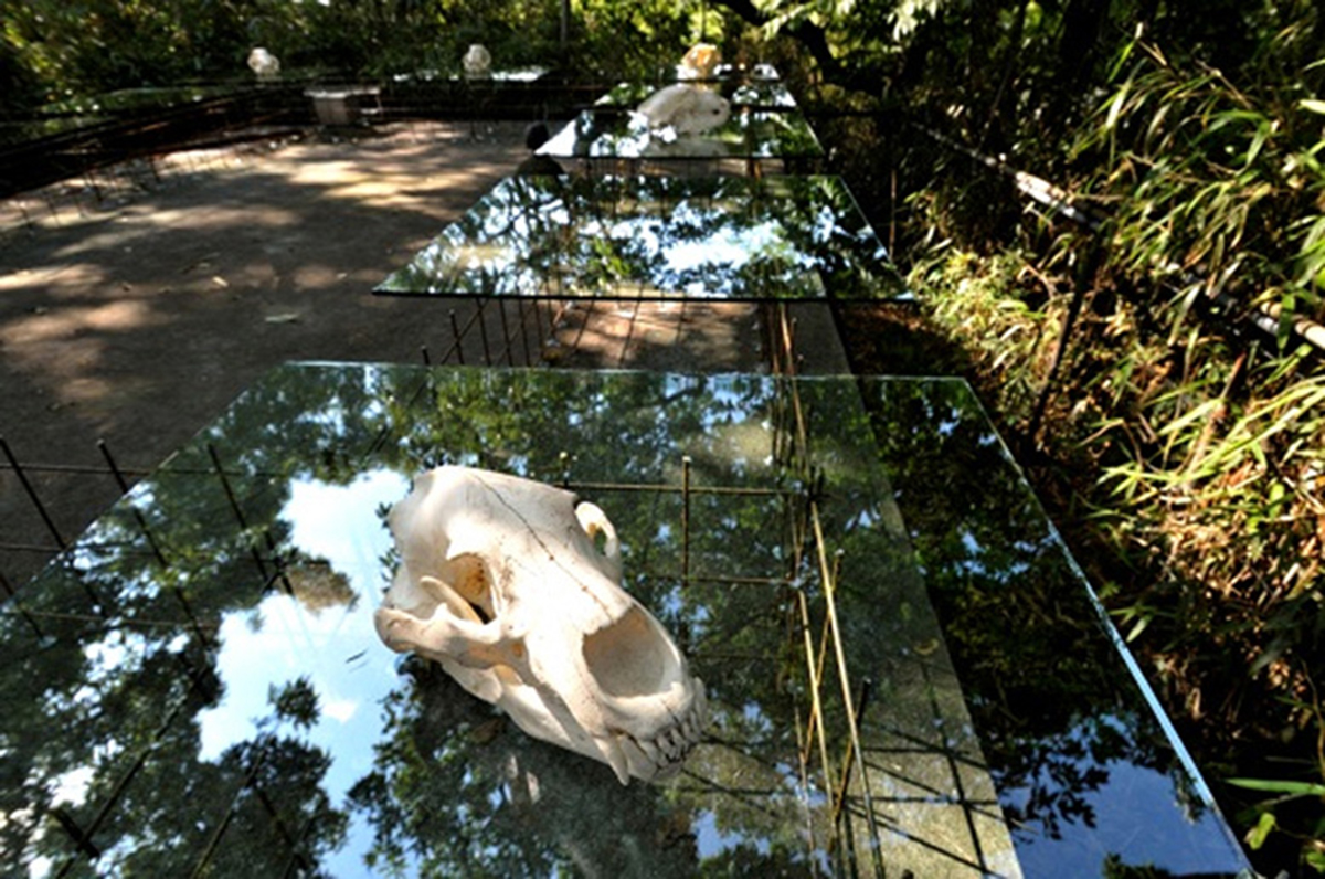 けはいをきくこと・・・北方圏における森の思想（南限のチャシ2）