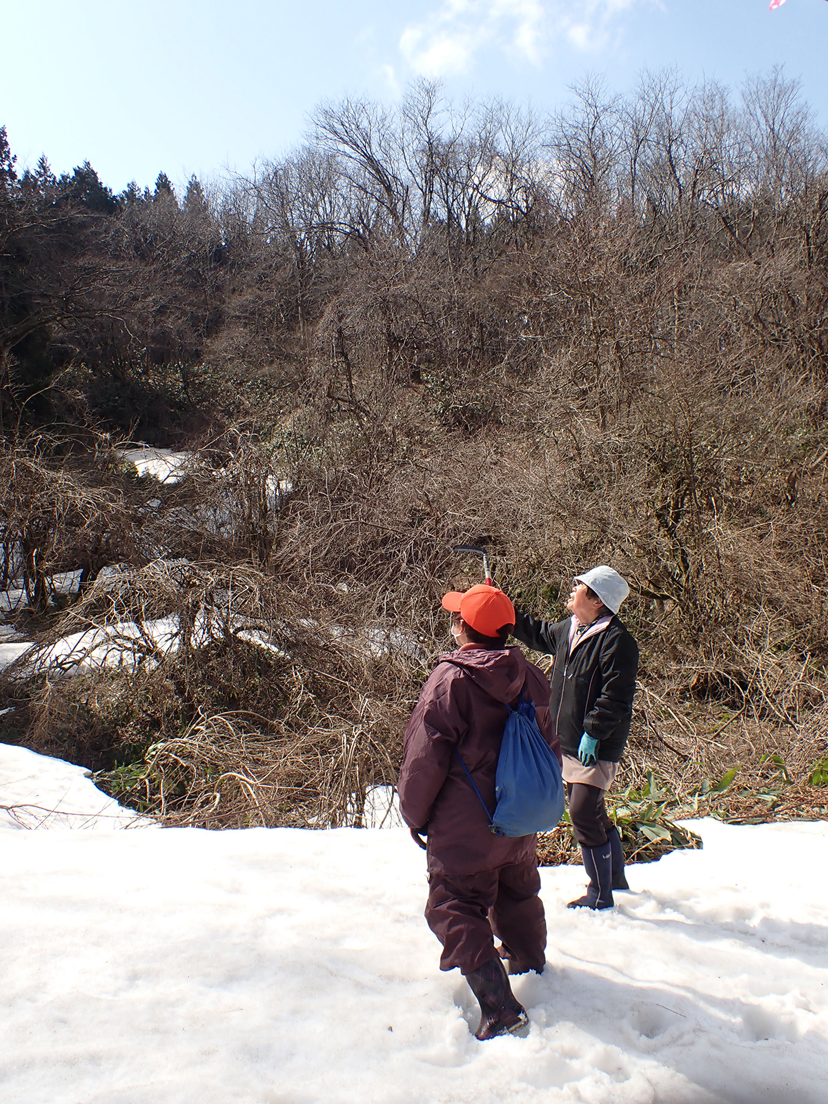 上黒丸〇古道調査